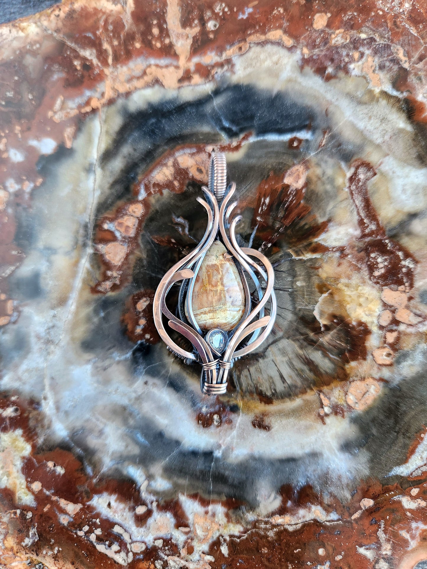 Arizona Petrified Wood & CZ Talisman